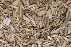 biomass boilers Mannal