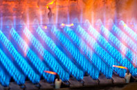 Mannal gas fired boilers